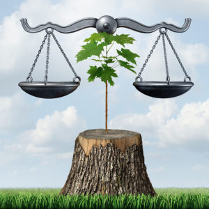 ADMINISTRATIVE LAW